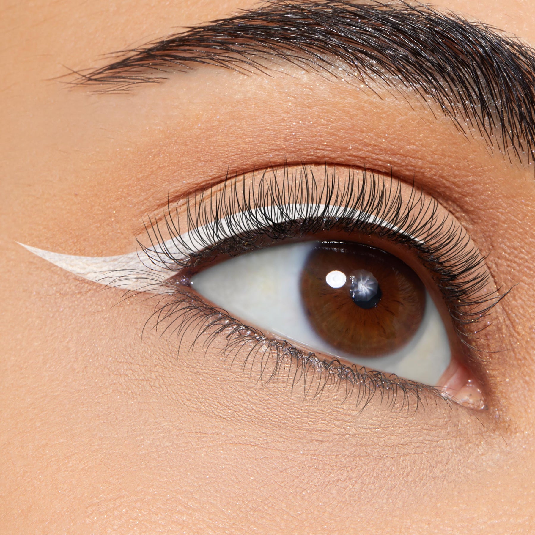 Graceland - Daily Set