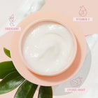 The Daily Face Cream - Ready Routine