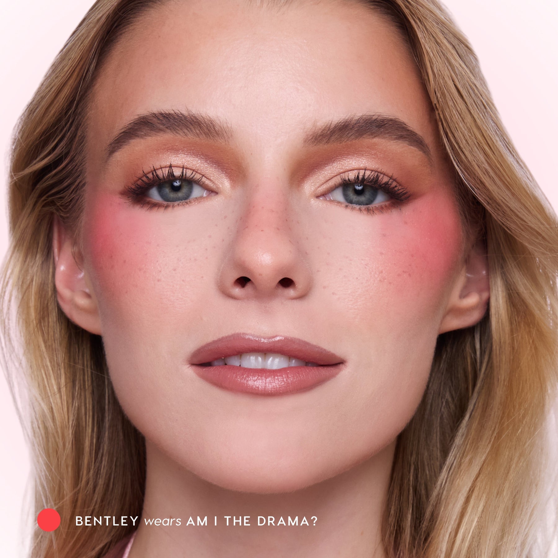 Am I The Drama? - Everyday Pop