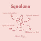 The Daily Face Cream - Ready Routine