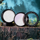 Meadow - Clean Bundle