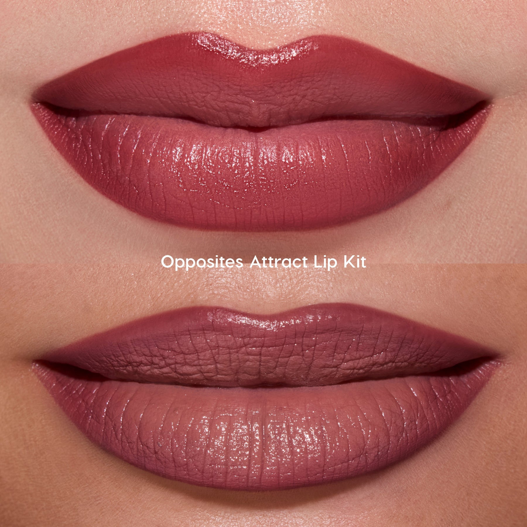 Just Bitten - Daily Set